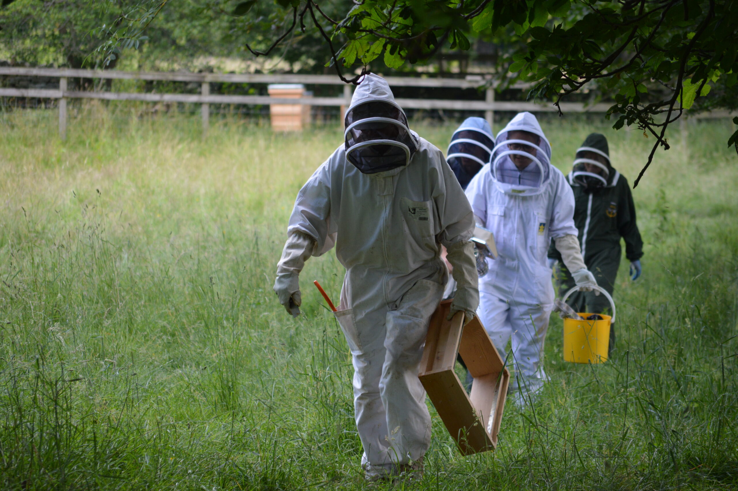 Walking back from hive 3rd onsite Camphill trip